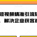 企业短视频精准引流矩阵获客，解决企业获客难题