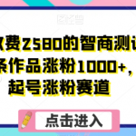 外面收费2580的智商测试项目，一条作品涨粉1000+，暴力起号涨粉赛道【揭秘】