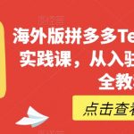 海外版拼多多Temu从零到一实践课，从入驻到运营的最全教程