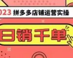 2023拼多多运营实操，每天30分钟日销1000＋，爆款选品技巧大全（10节课）