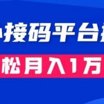 通过国外接码平台掘金：成本1.3，利润10＋，轻松月入1万＋【揭秘】