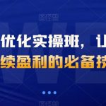 抖音千川优化实操班，让付费投产持续盈利的必备技能