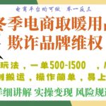 利用电商平台冬季销售取暖用品欺诈行为合理制裁店铺，单日入900+【仅揭秘】