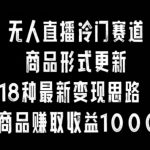 无人直播冷门赛道，商品形式更新，18种变现思路，一件商品赚取收益10000+【揭秘】