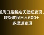 新风口最新姓氏壁纸变现，喂饭教程日入600+【揭秘】