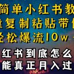 小红书博主到底怎么做，才能复制粘贴不封号，还能爆流引流疯狂变现，全是干货【揭秘】