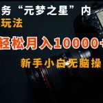 抖音任务“元梦之星”内部最新玩法，新手小白无脑操作，轻松月入10000+【揭秘】