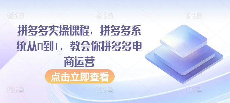 拼多多实操课程，拼多多系统从0到1，教会你拼多多电商运营