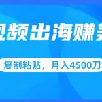 短视频出海赚美金，复制粘贴批量操作，小白轻松掌握，月入4500美刀【揭秘】