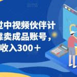 百分百过中视频伙伴计划，仅靠卖成品账号，每天收入300＋【揭秘】