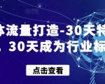 实体流量打造-30天特训营，30天成为行业标杆