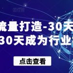 实体流量打造-30天特训营，30天成为行业标杆