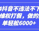 2024抖音不违法不下单0投入维权打假，做的好一单轻松6000+【仅揭秘】