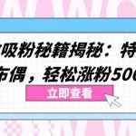 两个高效吸粉秘籍揭秘：特效加持与神奇布偶，轻松涨粉5000+【揭秘】