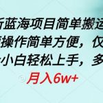 四月最新蓝海项目，简单搬运TIKTOK萌宠视频，操作简单方便，仅需一部手机【揭秘】