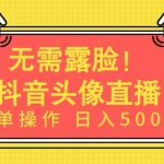 无需露脸，Ai头像直播项目，简单操作日入500+【揭秘】