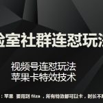 梅花实验室社群连怼玩法第八期，视频号连怼玩法 苹果卡特效技术【揭秘】