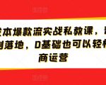 淘宝低成本爆款流实战私教课，帮助商家快速复制落地，0基础也可以轻松搞定电商运营