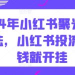 2024年小红书聚光付费玩法，小红书投流，充钱就开挂