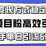 精准项目粉高效引流术，新手单日引流50+，多重变现方式稳定赚钱【揭秘】