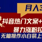 抖音热门文案+网易云截图暴力涨粉拉爆收益玩法，小白无脑操作，简单易上手【揭秘】