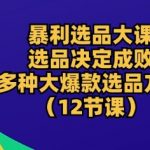 暴利选品大课：选品决定成败，教你多种大爆款选品方法(12节课)