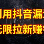 利用抖音链接漏洞，无限拉新赚钱【漏洞原理+操作流程】【揭秘】