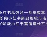 小红书品效合一系统教学，​0~1阶段小红书新品投放方法论，​1~10阶段小红书营销增长方法论