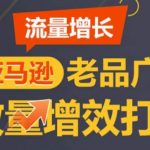 亚马逊流量增长-老品广告放量增效打法，循序渐进，打造更多TOP listing​