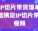 明星IP切片带货爆单营，0基础搞定IP切片带货短视频