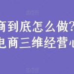 电商到底怎么做？淘系电商三维经营心法