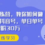 抖音实训训练营，教你如何做一个赚钱的抖音号，单日单号增粉30万