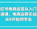 小红书电商运营从入门到精通课，电商店群实战，从0开始到学会