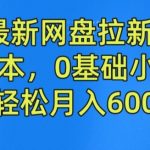 2024最新网盘拉新玩法，无需成本，0基础小白可做，轻松月入6000+【揭秘】