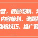 小红书私教营，底层逻辑、定位赛道、账号包装、内容策划、选题搭建、爆款创作、涨粉技巧、推广变现等等