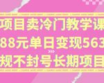 独家项目卖冷门教学课程一单88元单日变现5632元违规不封号长期项目【揭秘】